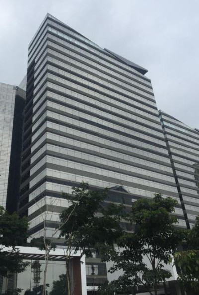 Parque da Cidade - Torre Paineira