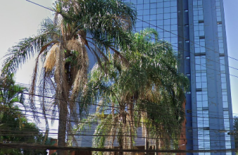 Axis Building - Giovanni Gronchi