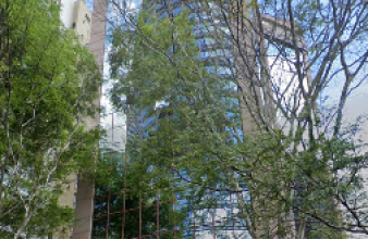 Montreal - Vila Olímpia